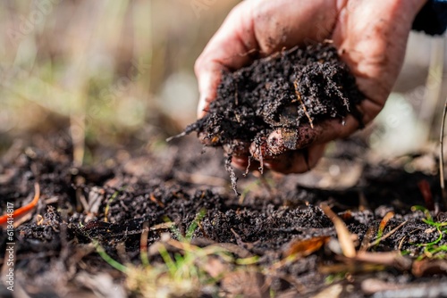 regenerative organic farmer, taking soil samples and looking at plant growth in a farm. practicing sustainable agriculture.