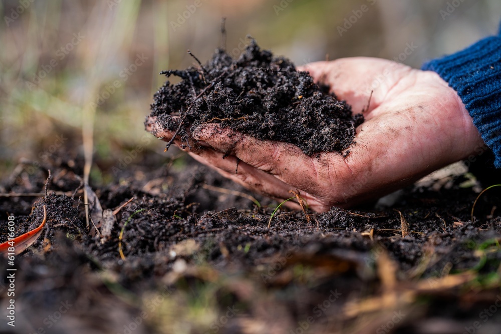 soil fungi storing carbon through carbon sequestration on a farm, receiving carbon credits soil fungi storing carbon through carbon sequestration on a farm, receiving carbon credits