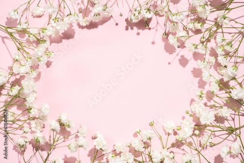Baby's breath gypsophila round frame border on pink background with shadow. Top view close flatlay © NadiaA