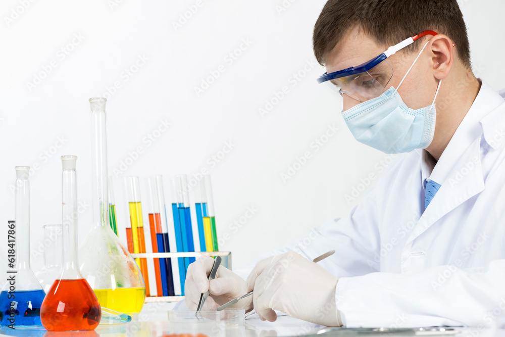Researching sample with tweezers in petri dish Researching sample with tweezers in petri dish