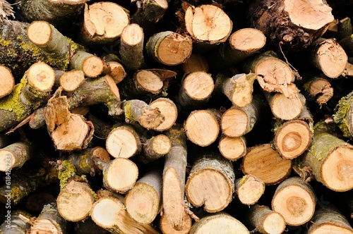 Wooden pile of freshly cut logs  neatly stacked and prepared for use as firewood