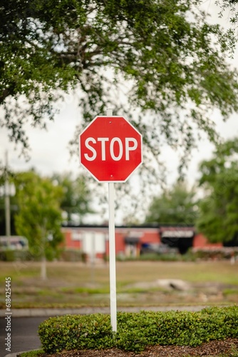 Stop sign at an intersection surrounded by a small, bushy area of shrubs and foliage