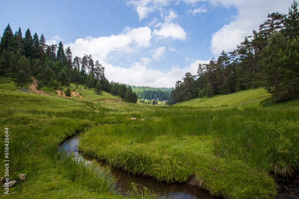 Balikli plateau forest and wooden house image Balikli plateau forest and wooden house image