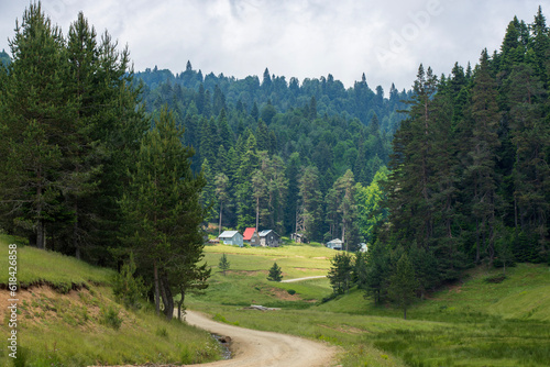Wallpaper Mural Balikli plateau forest and wooden house image Torontodigital.ca