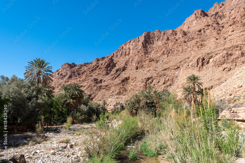 Fototapeta premium Felslandschaft mit Oase und Flusslauf unter blauem Himmel