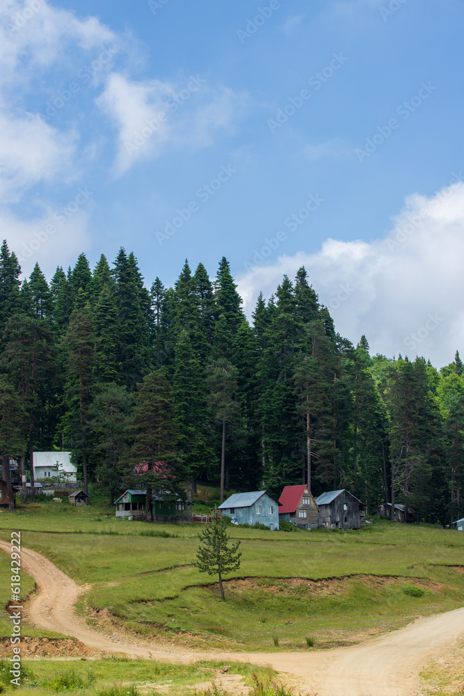 Balikli plateau forest and wooden house image