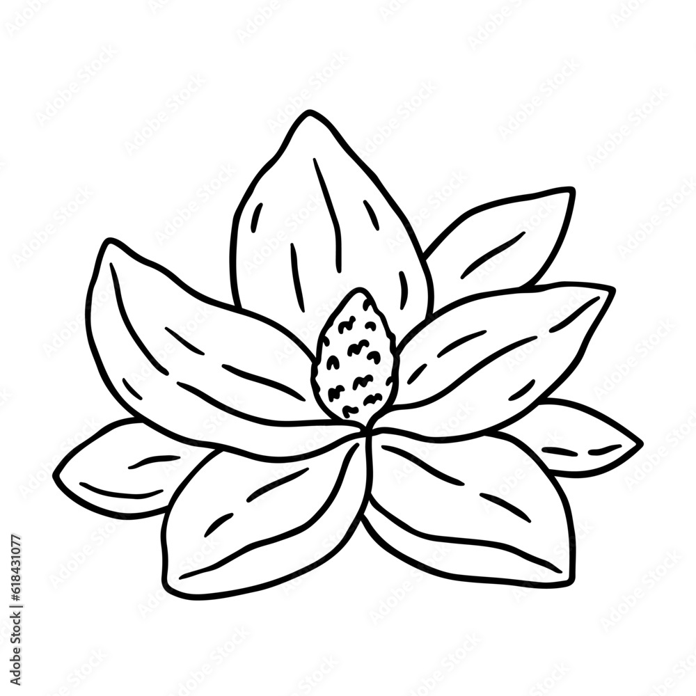 Magnolia flower isolated on white background. Vector hand-drawn illustration in outline style. Perfect for cards, decorations, logo, various designs. Botanical clipart. Magnolia flower isolated on white background. Vector hand-drawn illustration in outline style. Perfect for cards, decorations, logo, various designs. Botanical clipart.