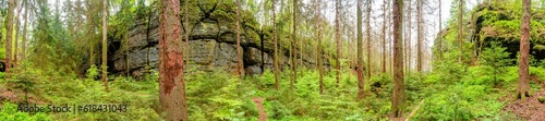 Panoramic with magical enchanted fairytale forest, sandstone rocks named Kleinhennersdorfer Stein and ancient gorge at the hiking trail in the national park Saxon Switzerland, Bad Schandau, Germany.