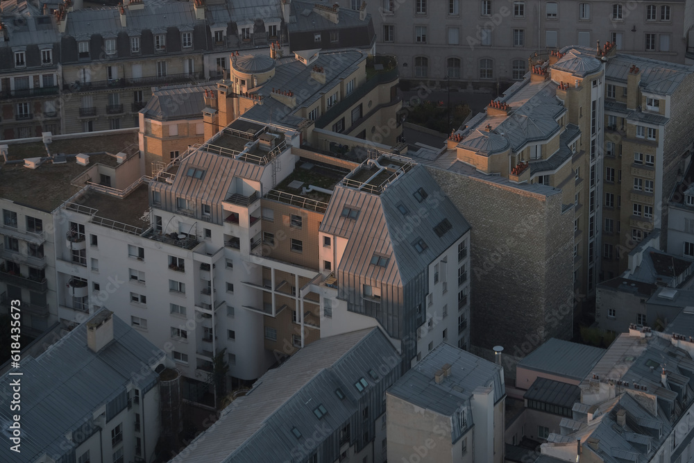 Fototapeta premium Paris building roofs, photos taken from the heights of Paris.It gathers many types of buildings with characteristic Parisian roofs, from various districts of the city. 