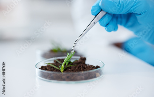 Fotografie Hands, tweezer and science with plant for research, experiment and leaf
