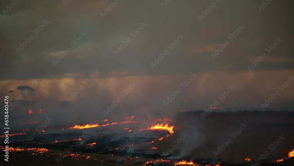 Timelapse of fire burning a field under the gloomy cloudy sky Timelapse of fire burning a field under the gloomy cloudy sky
