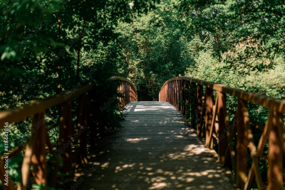 Fototapeta premium Scenic footbridge in a tranquil forest setting, leading to a path through the trees