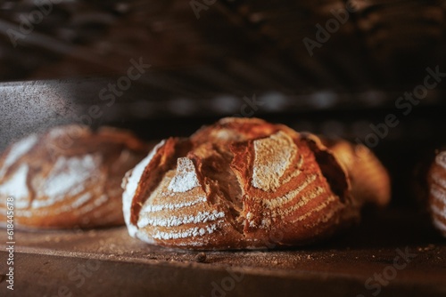 Closeup of crusty bread baking in the oven