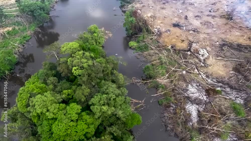 Aerial view. The disastrous consequences of slashing and burning rainforest on the banks of a tropical river. African jungle. Aerial view. The disastrous consequences of slashing and burning rainforest on the banks of a tropical river. African jungle.