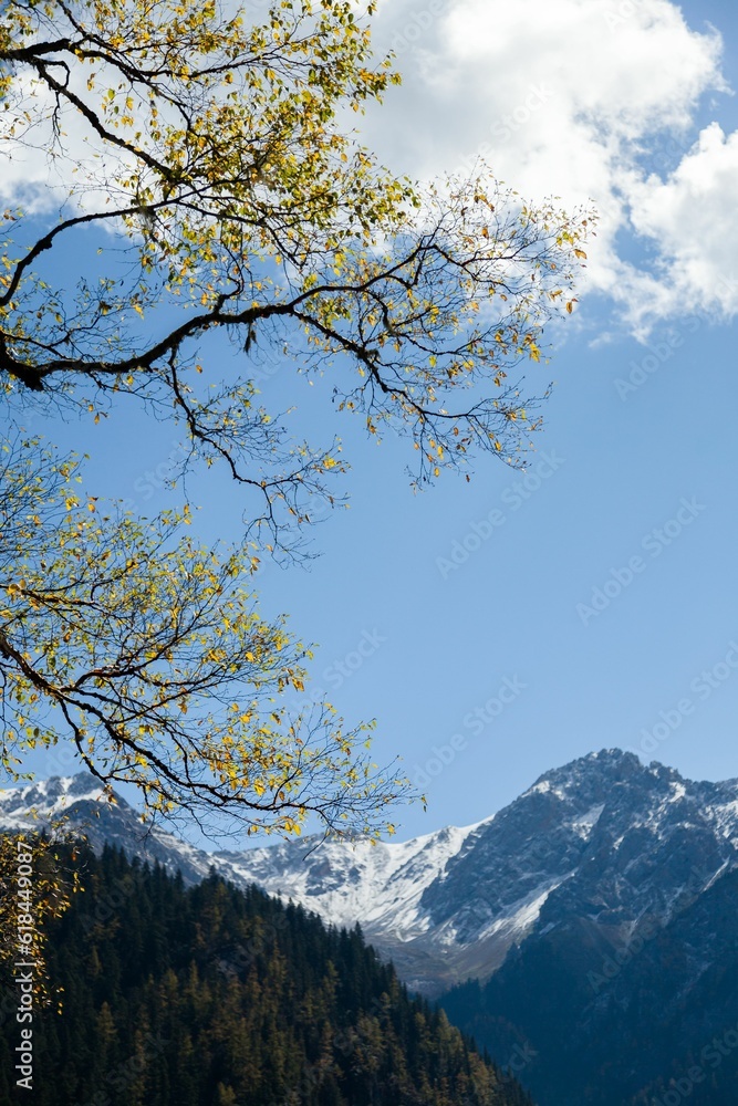 Majestic snow-covered mountain peaks against lush green forest in Sichuan Province, China Majestic snow-covered mountain peaks against lush green forest in Sichuan Province, China