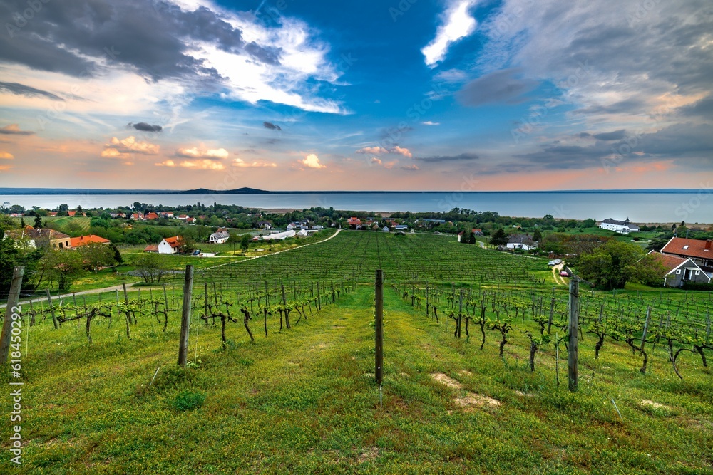 Naklejka premium Gorgeous view from Sandahl Vineyard terrace with sunset, Badacsonytomaj, Balaton, Hungary.
