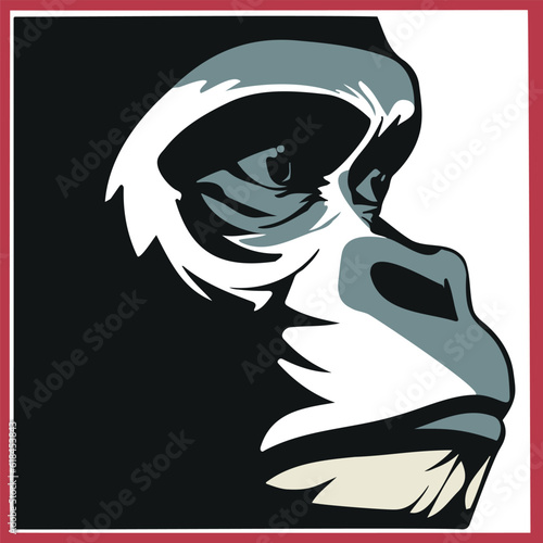 Vector illustration of a portrait of an ape on the white background