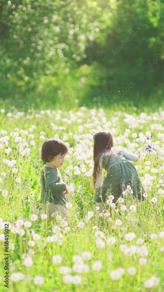 A handsome big sister gives dandelion to his cute little brother. Funny and happy children, walking and playing together on the green meadow in the park at the sunny daytime. Concept friendly family A handsome big sister gives dandelion to his cute little brother. Funny and happy children, walking and playing together on the green meadow in the park at the sunny daytime. Concept friendly family
