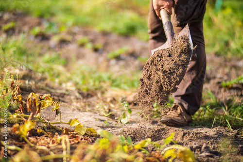 The farmer stands with a shovel in the garden. Preparing the soil for planting vegetables. Gardening concept. Agricultural work on the plantation