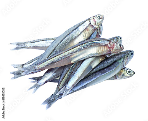 Tableau sur toile Close up anchovies or gray anchovy isolated on transparency background