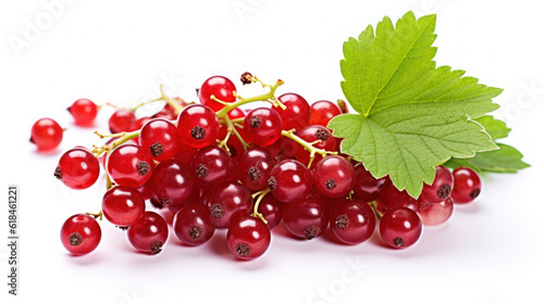 Ruby Jewels: Captivating Currant on White. Generative AI