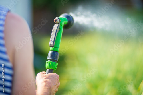 Farmer's hand with garden hose and gun nozzle watering vegetable plants in summer. Gardening concept. Agriculture plants growing in bed row