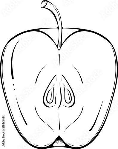 Half cut apple. Vector illustration in hand drawn sketch doodle style. Line art botanical natural ingredient for fresh juice isolated on white. Close up summer fruit. Coloring book page