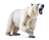 scary polar bear with visible fangs, isolated background. Generative Ai