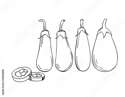 Hand drawn eggplant. Line art drawing eggplant. Eggplant With coloring book pages picture. Vector badge vegetable in the ink style for brochures, banner, restaurant menu and market