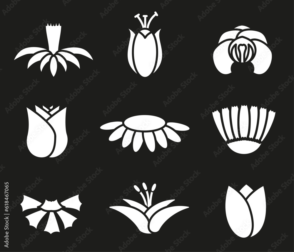 Simple hollow white flowers. Botanical nature modern trendy elements vector illustration.