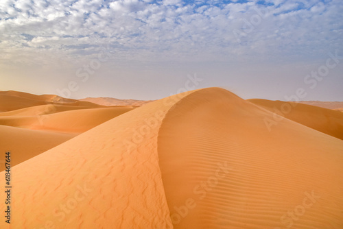 Sand Dunes in the Desert outside Abu Dhabi - Empty Quarter, United Arab Emirates 