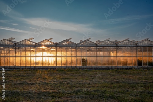 Silhouette of a greenhouse on a field in the evening.