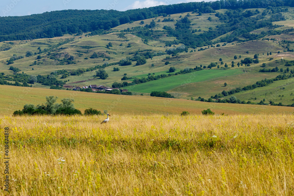 The Landscape at Viscri in Romania