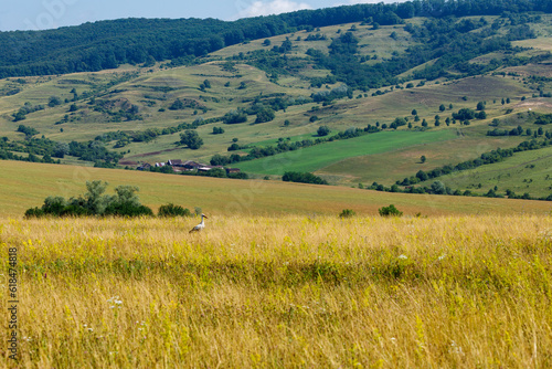 The Landscape at Viscri in Romania