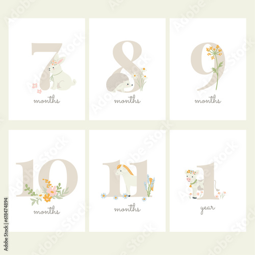 Vector Baby Months Milestone Cards Design