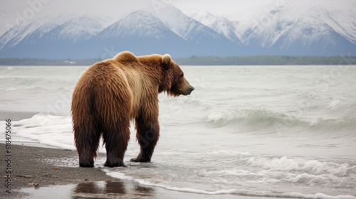 Rear View of a Brown Bear on the Sea Shore
