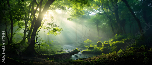 A mesmerizing view of an ancient forest blanketed in morning mist  the sun rays piercing through the canopy  the scene s myriad shades of green enhanced by HDR technology. 
