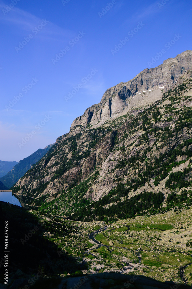 Vertical photo of a valley with a serene mountain stream flowing between sunlight and shadow