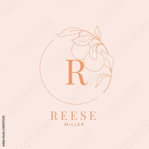 Vector round logo template with orange fruit illustration