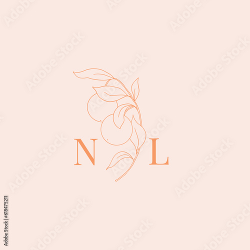 Vector logo template with orange fruit illustration and initials