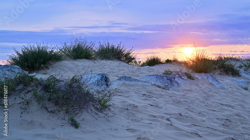 Fototapeta Naklejka Na Ścianę i Meble -  Sunset over the atlantic sea with dune gras. 
