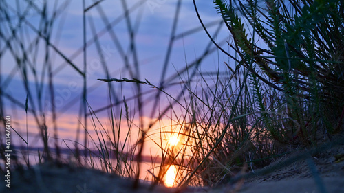 Sunset at evenning on north sea witg dune grass.