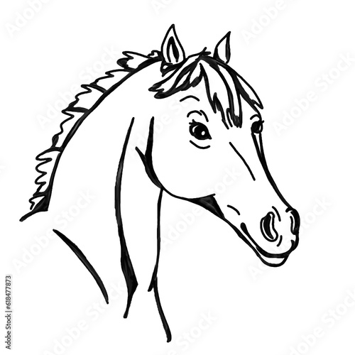 Hand drawn, black, watercolor horse head (ID: 618477873)