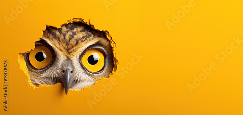Fotografia A surprised owl peeks out on a orange background
