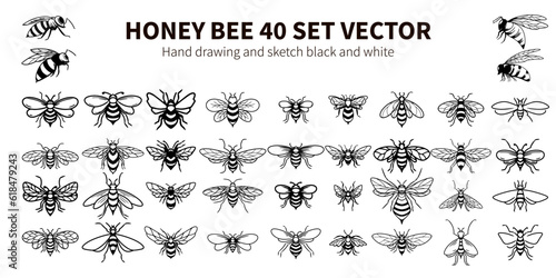 HONEY BEE 40 SET VECTOR HAND DRAWING AND SKETC BLACK AND WHITE. Art & Illustration