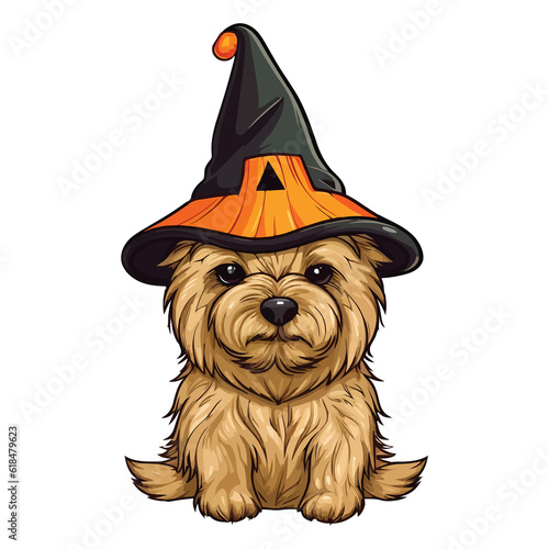 Bewitchingly Cute: Norwich Terrier Dog Embraces Halloween Spirit photo