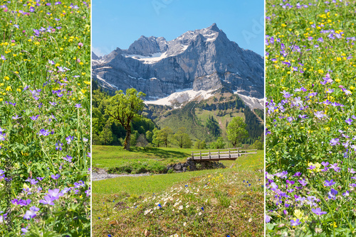 three-part picture with an alpine landscape of the karwendel mountains and a flower meadow photo