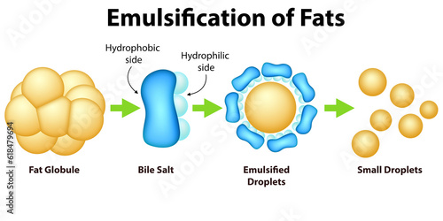 Emulsification of fats process