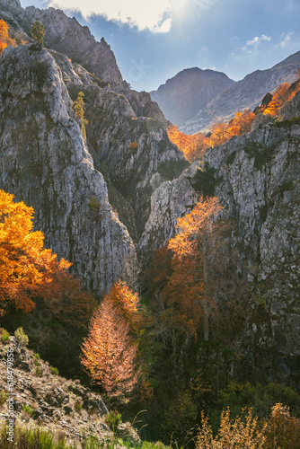 Autumn mountain landscape in Hoz de la Escalera, Argovejo, Spain