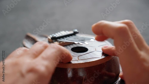 Kalimba turtle. Traditional instrument from Africa in close-up. Selective focus photo